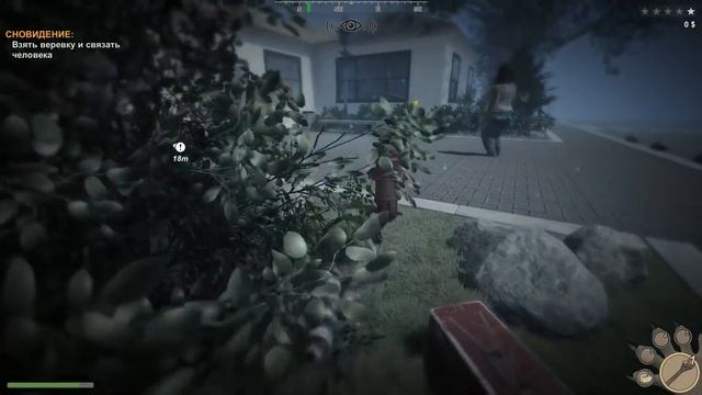 ЕНОТСКАЯ ЛЕСНАЯ БРАТВА Wanted Raccoon