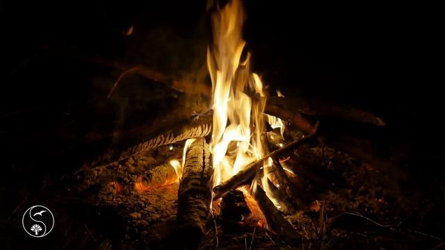 ДУШЕВНЫЙ КОСТЕР в летнюю ночь ? ? Горят дрова - ЗВУКИ ОГНЯ и ЗВУКИ ПРИРОДЫ помогут Oтдохнуть ?