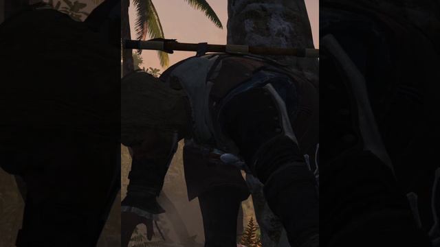 Assassins Creed IV Black Flag