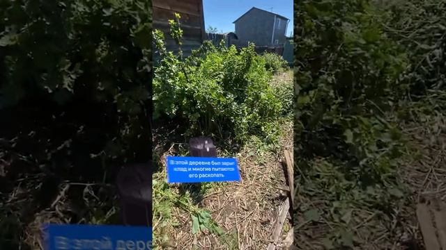 Эта девушка построила дом мечты сама!