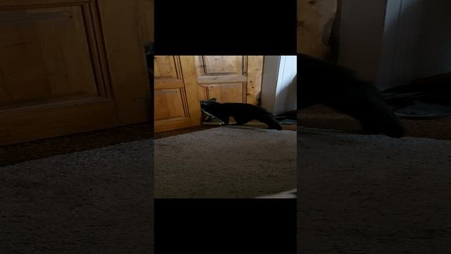 Сонечка открывает дверь