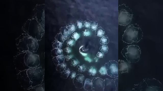 VID_20230321_191528_011.mp4
