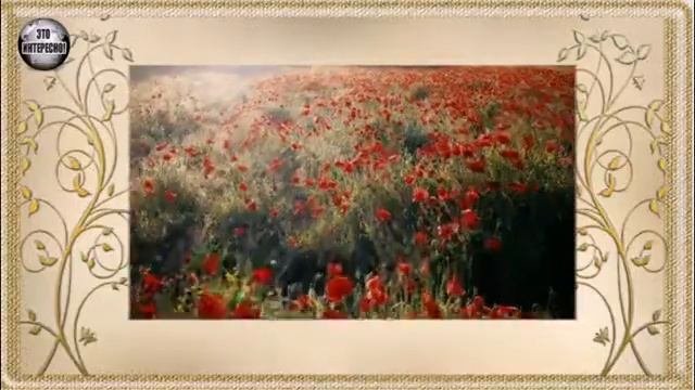 НАРОДНЫЕ ПРИМЕТЫ НА 5 ИЮНЯ. ЧТО НЕЛЬЗЯ И ЧТО МОЖНО ДЕЛАТЬ В ЭТОТ ДЕНЬ #ЭтоИнтересно