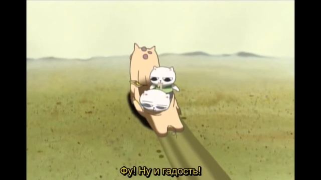 Кошачий Суп