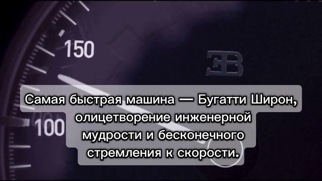 Кайм Сервис: Быстрота, на которую можно положиться