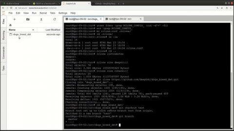 Using the Development Docker Image on the testbed