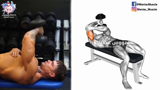 Best  Exercises Triceps Workout / تمارين الترايسبس