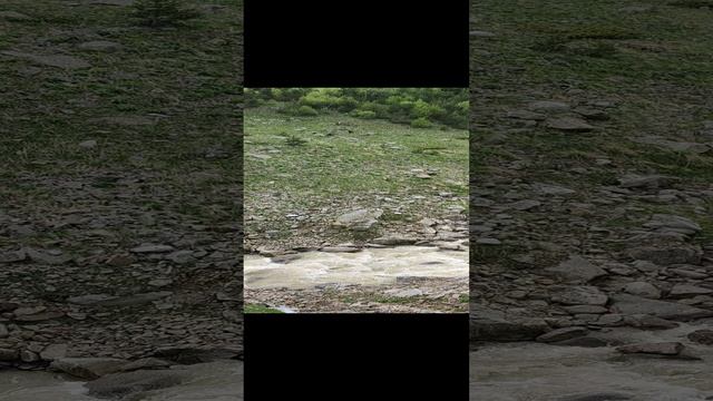 Река Ирик в Приэльбрусье, ущелье, 6 июня 2023 года.