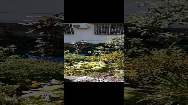 Этот Сочи.mp4