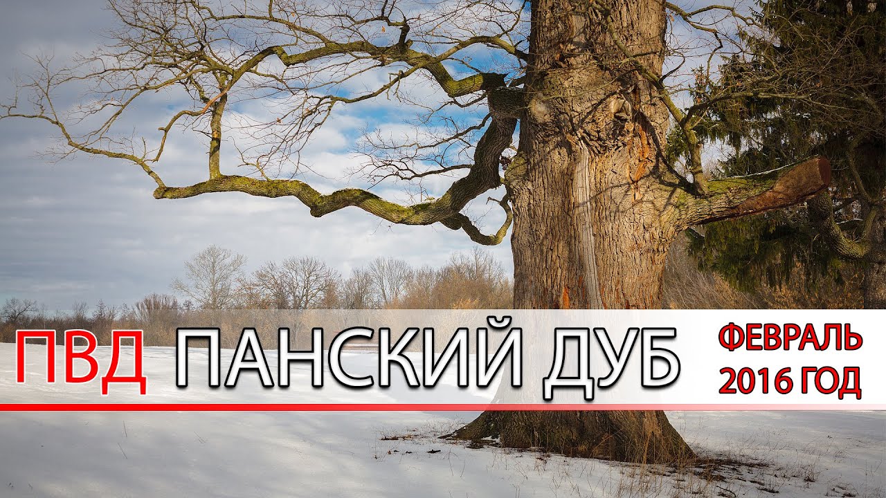 Поход выходного дня по Белгородской области 6-7 февраля 2016 года Панский Дуб