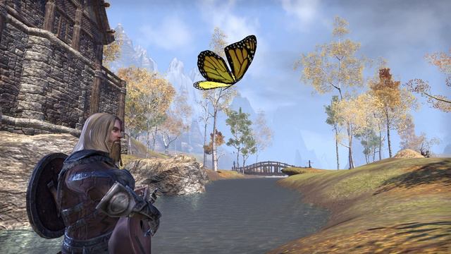 Torev the Skáld - On Butterfly Wings (ESO Original Bard Song for Roleplaying)