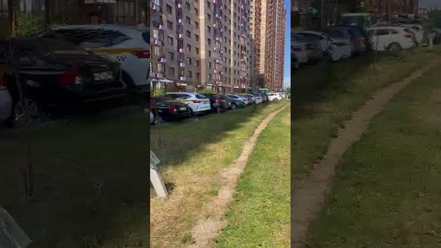 обзорное