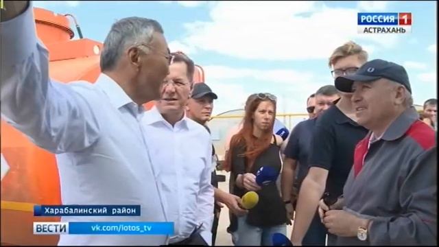 Астраханские зелёные томаты на корм калмыцкому скоту