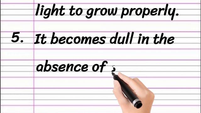 Sunflower Essay in English 10 Lines || Short Essay on Sunflower