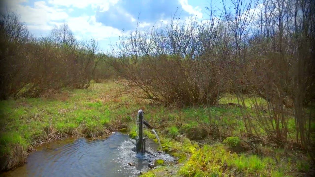 Природа май 2022  Долина Черновой Бочат