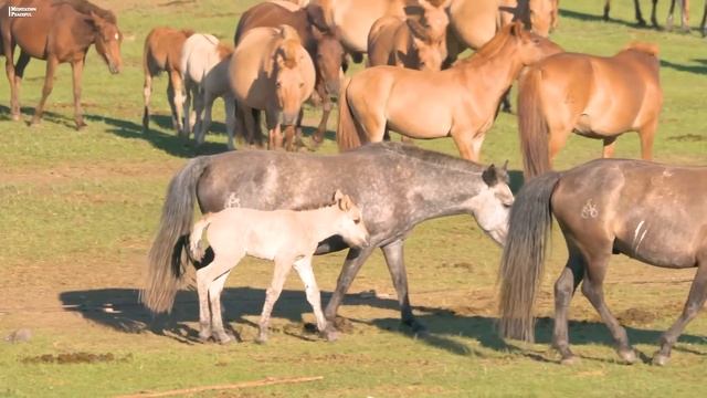 послушайте эту музыку и вам станет легче?Нежная музыка, успокаивает нервную систему радует душу