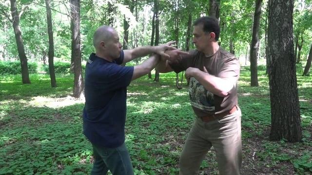 Ицюань Туйшоу-2015 (4). Шаг за шагом. Дань Туйшоу (3-й вариант)