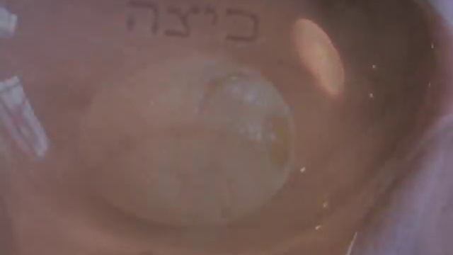 The Passover Seder Symbols Song