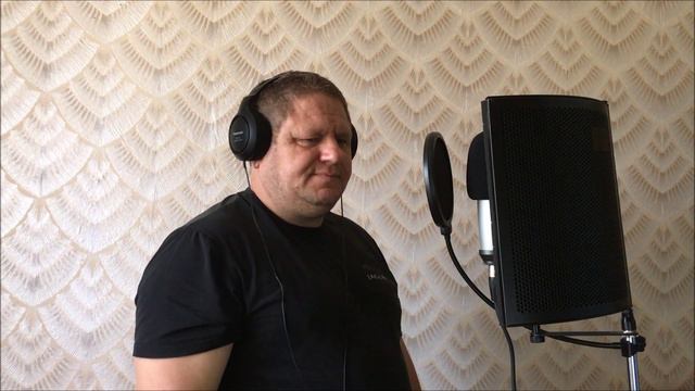 ПРОВОДИ МЕНЯ ДОМОЙ (cover) Сергей Серков