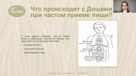 Почему вредно есть часто и понемногу. Взгляд Аюрведы