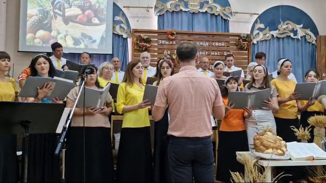 Тысячи лет.Жатва 2024г