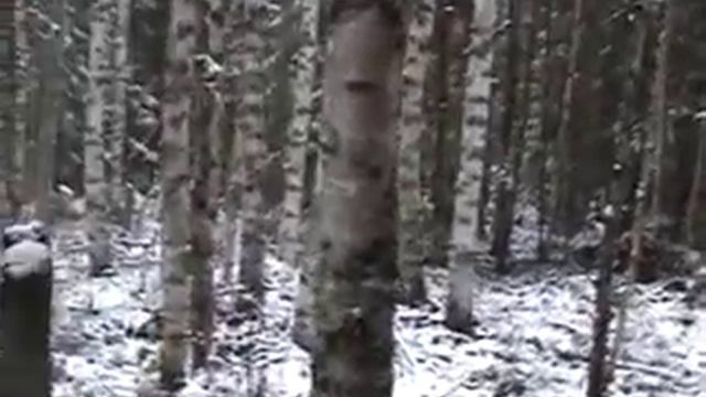 охота с гончими часть 4