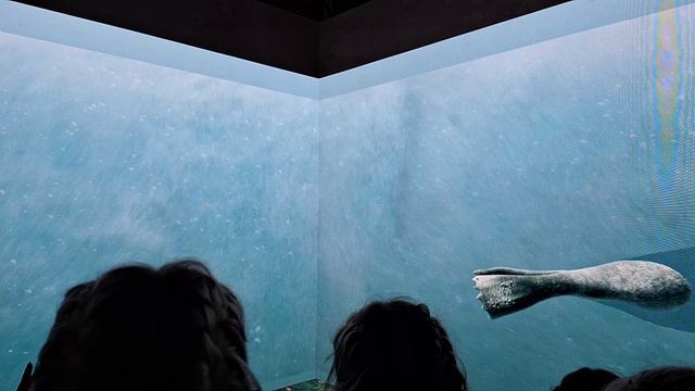 Форум выставка Россия!