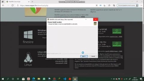 come installare Reaper