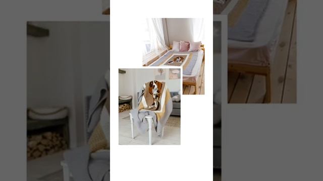 VID 20210814 WA0008
