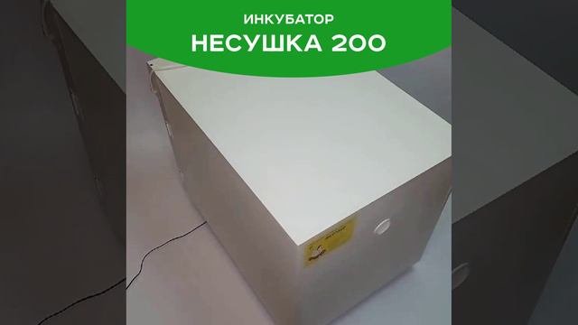 несушка 200