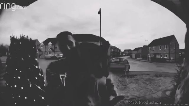 Кот мяукает в камеру, но это ужастик