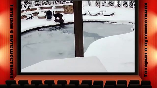 Девушка в ледяном бассейне. Видео с камеры наблюдения.