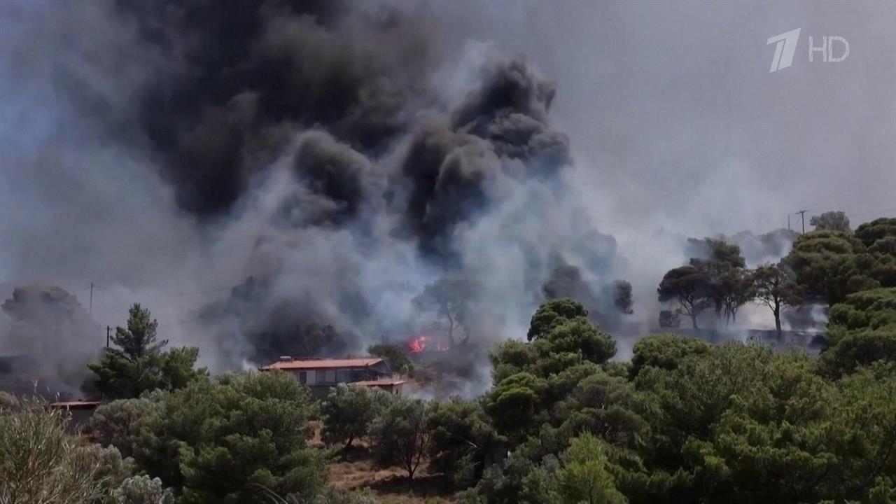 В Греции и Турции борются с природными пожарами