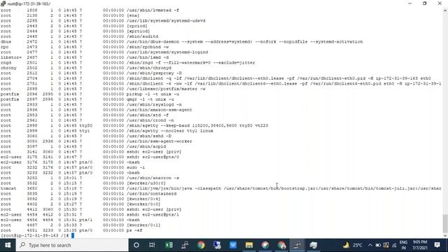 AWS DevOps for Beginners: Mastering Linux (Part 7)