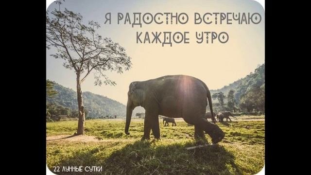 05.03.21. 22 лунный день. Привлечь удачу и деньги. Золотая уборка