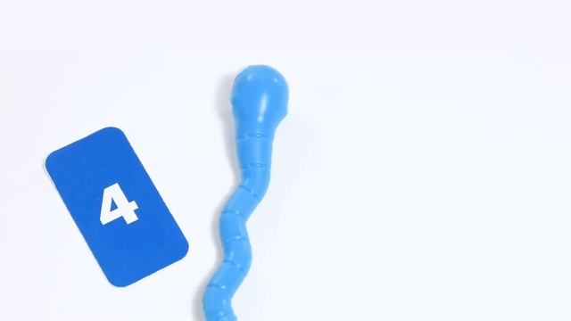 Wriggleworms
