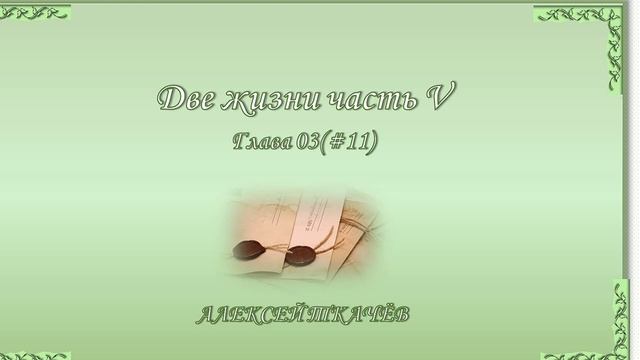 «Две жизни» – продолжение книги! Слушайте и читайте новую книгу «Две жизни» часть V. Глава 3 (11)