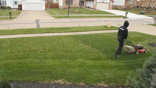 World's fastest grass cutter [HD]