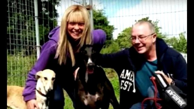 Собаку взяли из приютa, но она сутками смотрела в стeну. Причина поражает!