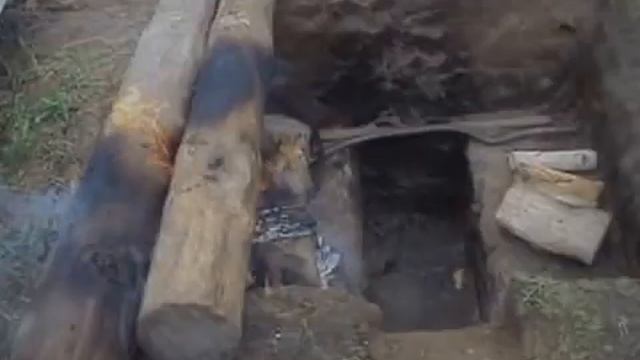 ОБЖИГ БРЕВЕН