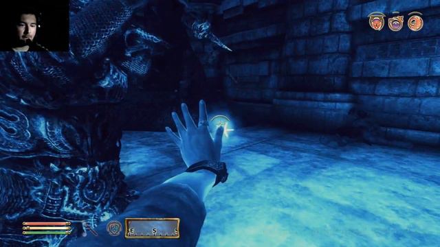 Let's play Good old games: The Elder Scrolls IV Oblivion Part 160 PermaDeath