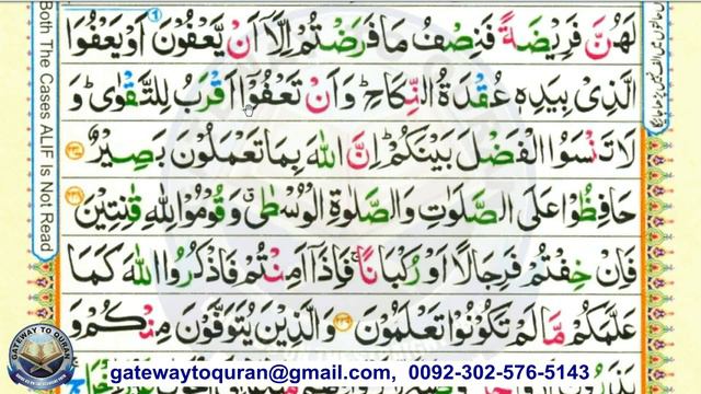 Learn Quran with Tajweed 2 Al Baqarah Ayah 235 to 241 para 2  Quran Reading made easy