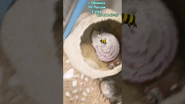 🐝 РУКОДЕЛЬНИЦА