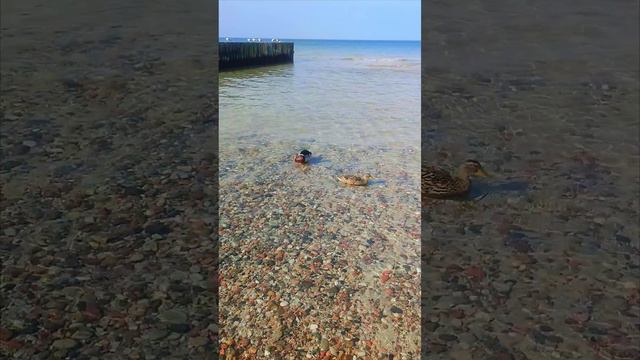 Балтийское море