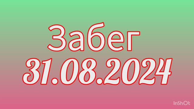 Забег 31.08.2024