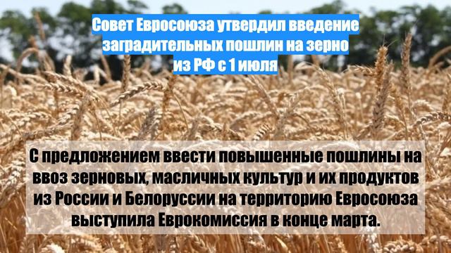 Совет Евросоюза утвердил введение заградительных пошлин на зерно из РФ с 1 июля