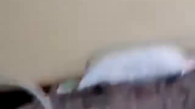 Я в больнице#2