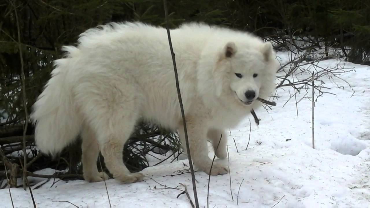 Флинт у бывшего болота