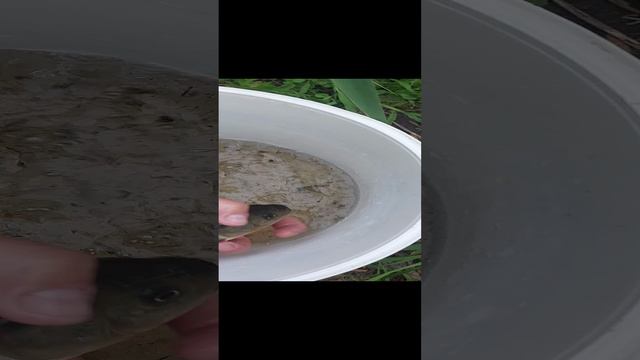 1000053884.mp4