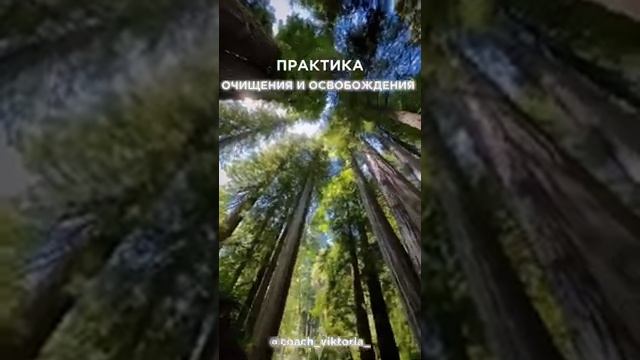 Энергопрактика для исцеления на физическом и энергетическом уровне #исцеление